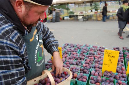 Ontario fruit grower Torrie Warner said that extreme weather this year wiped out 80 to 90 per cent of his apricots, cherries, and plums. PHOTO: David Koch