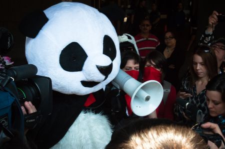 Pandas like this get kettled and ticketed $637 by the Montreal police. [photo: Alexis Gravel]